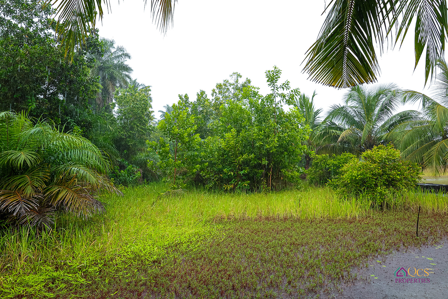 29 ACRES OF PRIME FARMLAND FOR SALE – OFF WATERLOO HIGHWAY-CROSSING photo 3