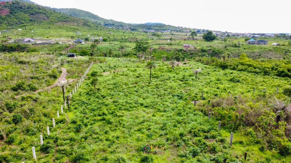 2-acres property  at McDonald, Off Peninsula Road. photo 3
