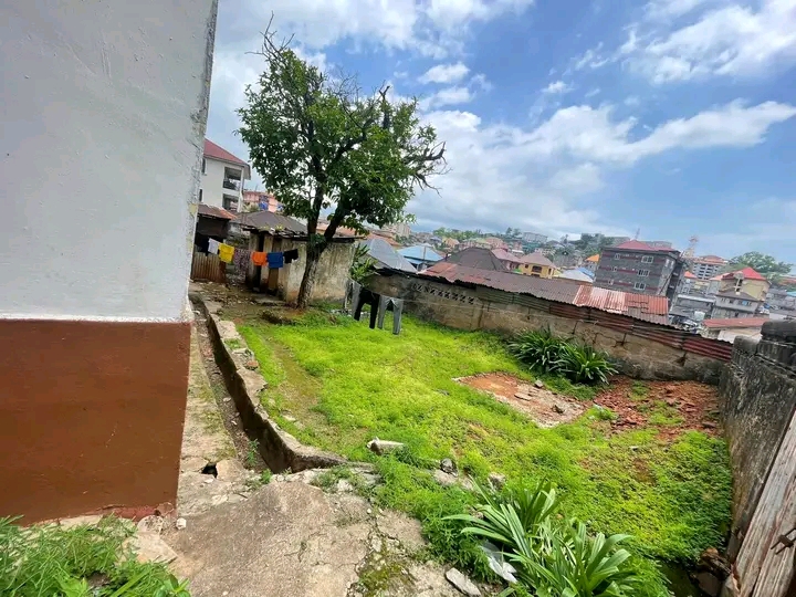 WhatsApp Image 2025-07-07 at 11.56.01_7b8cfb4f