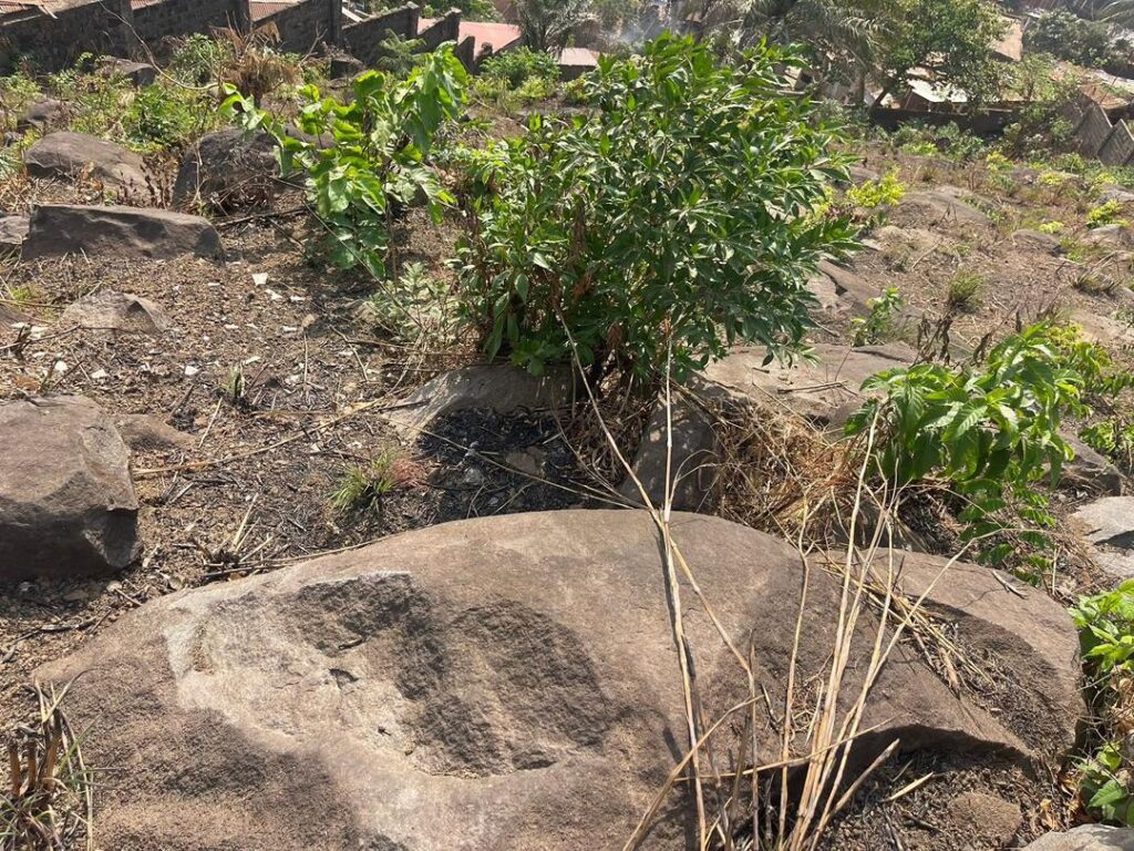 WhatsApp Image 2025-07-23 at 15.09.57_82fd7e66