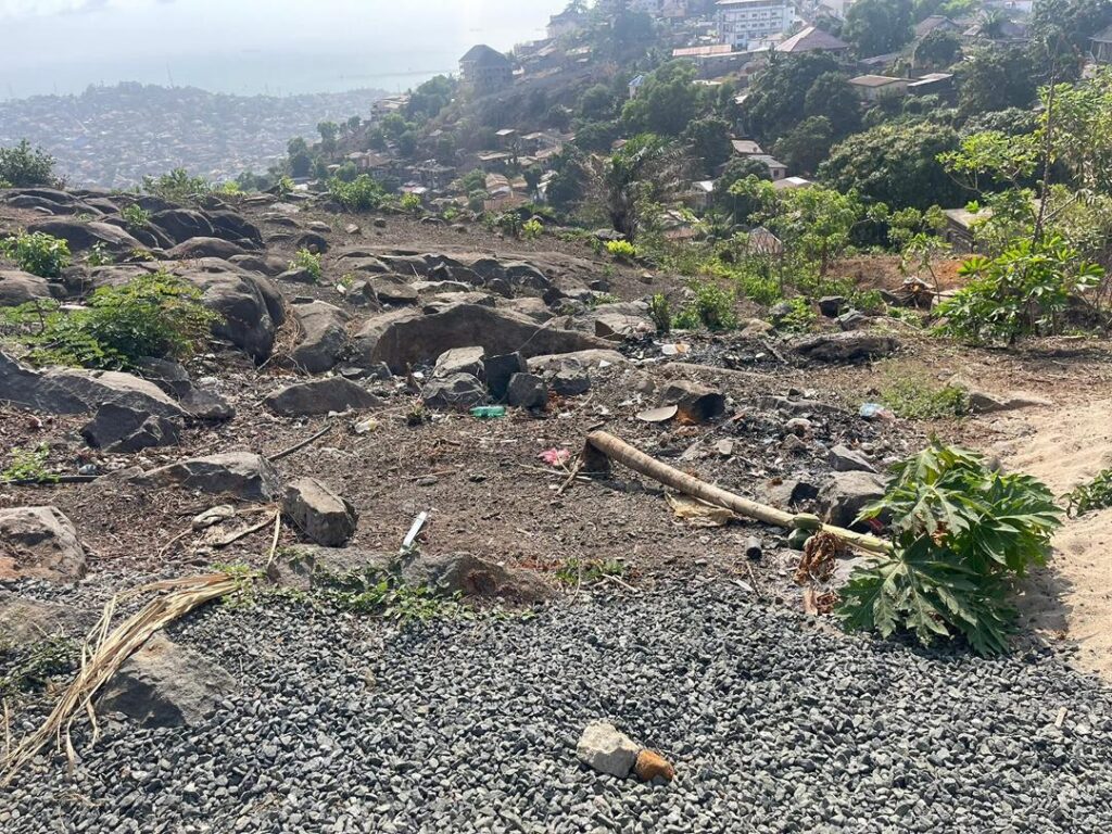 WhatsApp Image 2025-07-23 at 15.09.58_081323fc