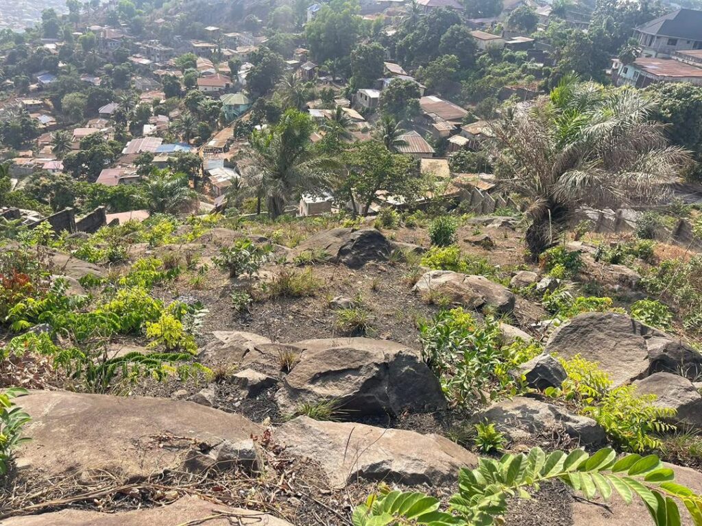 WhatsApp Image 2025-07-23 at 15.10.01_3c27cf03