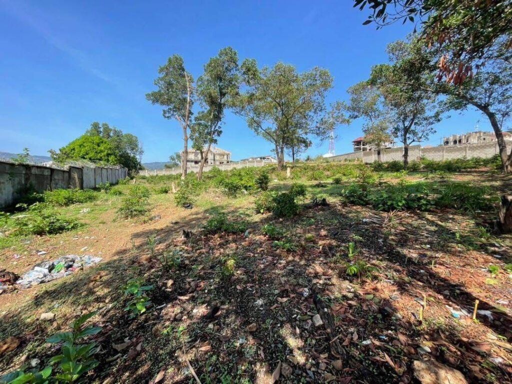 WhatsApp Image 2025-07-23 at 15.14.32_ee8f5709