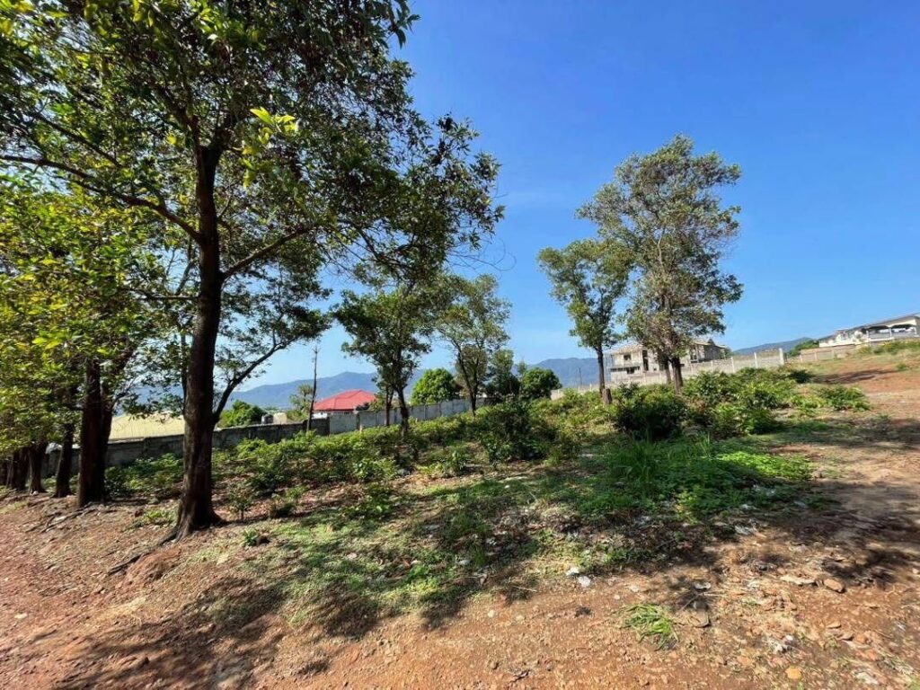 WhatsApp Image 2025-07-23 at 15.14.33_4fd0c5dd