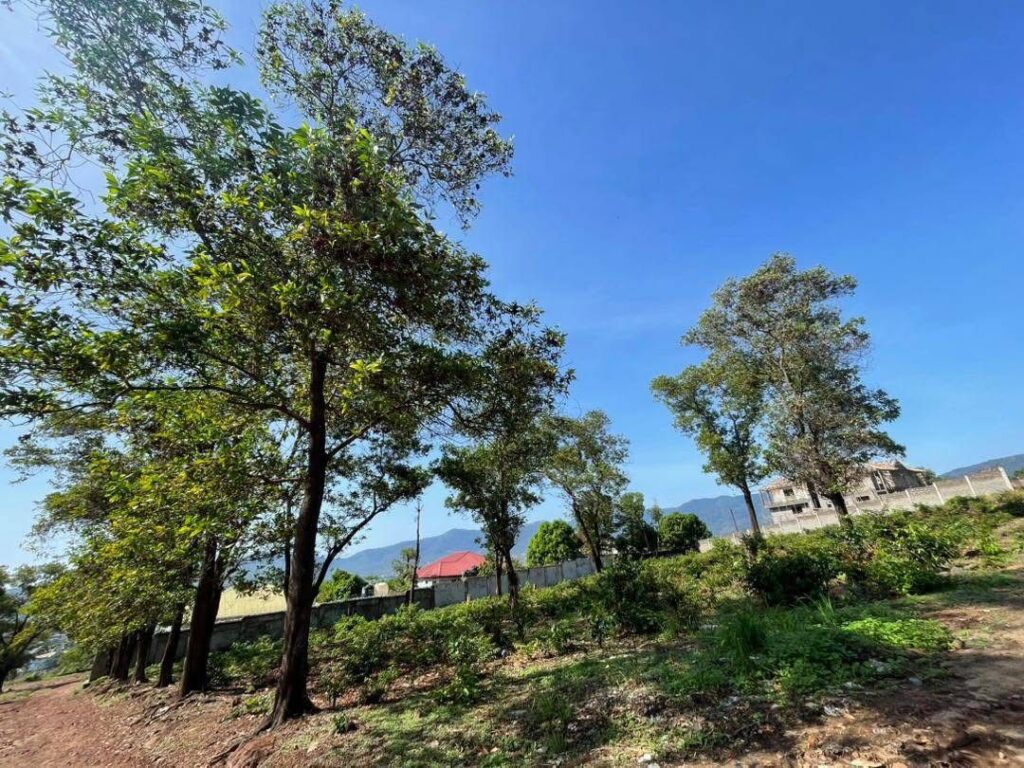 WhatsApp Image 2025-07-23 at 15.14.33_7e805b81