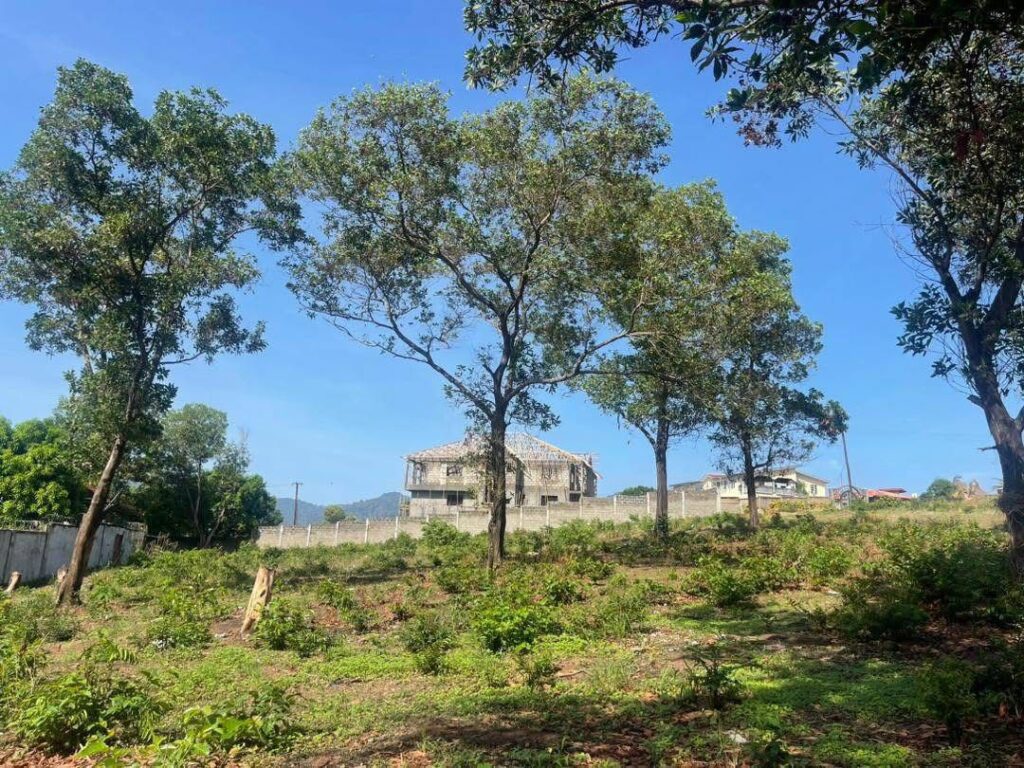 WhatsApp Image 2025-07-23 at 15.14.34_e8f397e3