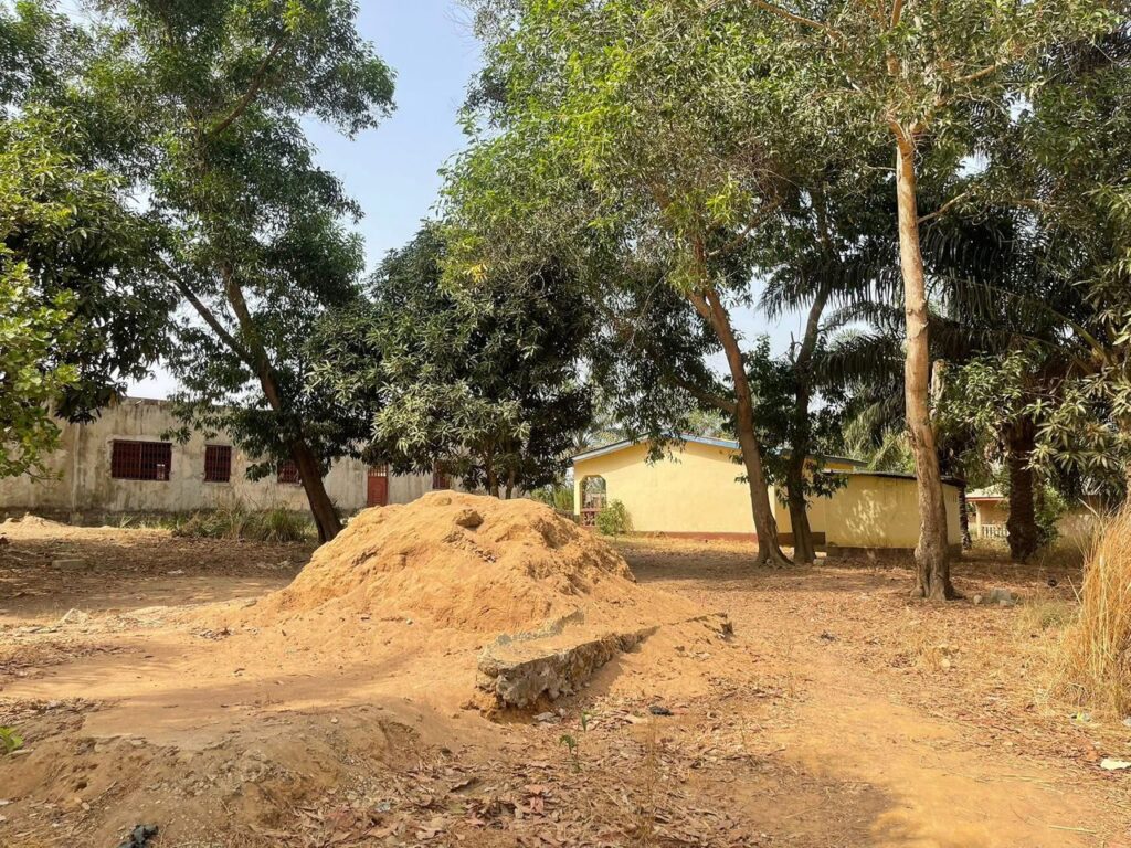 WhatsApp Image 2025-07-23 at 15.19.25_19954b0e