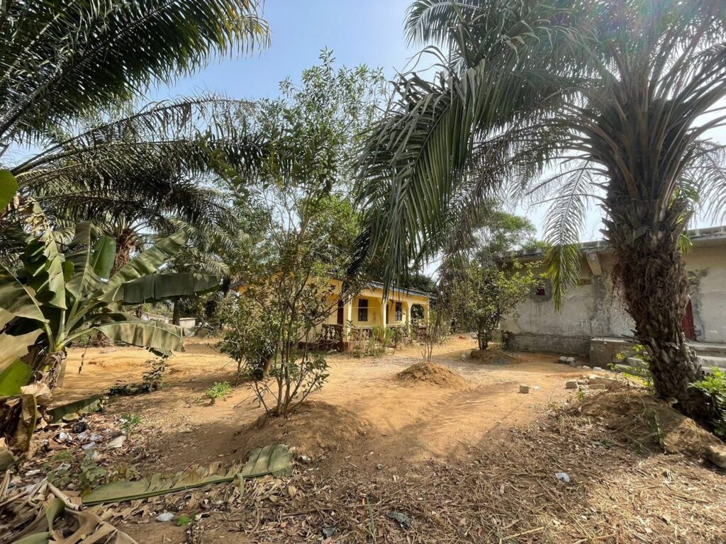 WhatsApp Image 2025-07-23 at 15.19.26_5a342ad0